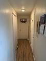 4586 Camino Ejercito Street - Photo 14