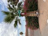 1372 Rubel Lane - Photo 43