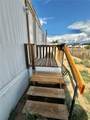 3537 Bluebird Lane - Photo 29