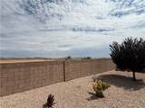 1767 Blue Flame Street - Photo 43