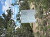 53555 Markham Pass - Photo 47