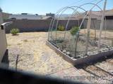 2425 Rio Drive - Photo 13