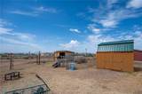 5146 Burro Drive - Photo 46