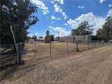 3096 Leroy Avenue - Photo 2