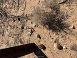 5485 and 5490 Laguna Road - Photo 59