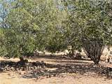 5485 and 5490 Laguna Road - Photo 74