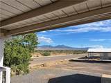 1297 Citrus Drive - Photo 20