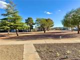 1204 Birch Dr - Photo 28