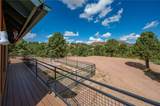 2955 Mc Lane Way - Photo 43
