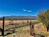 21477 Sundance Kid Road - Photo 52