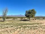 21477 Sundance Kid Road - Photo 53