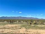 21477 Sundance Kid Road - Photo 55