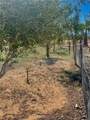 21477 Sundance Kid Road - Photo 58