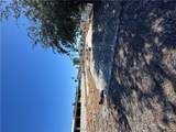 1074 Citrus Street - Photo 3