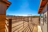 7649 Frerichs Ranch Road - Photo 37