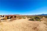7649 Frerichs Ranch Road - Photo 41