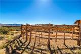 7649 Frerichs Ranch Road - Photo 43