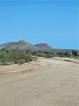 121-10-018 Alamo Road - Photo 2