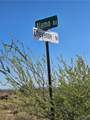 121-10-018 Alamo Road - Photo 4