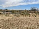 7884 Avenida Ramirez Road - Photo 47