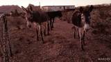2565 Hopi Road - Photo 23
