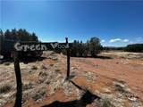 353-36-096 Medicine Arrow Road - Photo 4