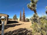 8589 Las Vegas Drive - Photo 6