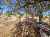 1082 Bibo Road - Photo 36