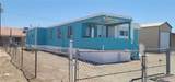 7910 Mallard Street - Photo 1
