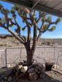 17500 Needle Drive - Photo 2