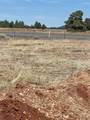 603 Cool Pines Road - Photo 11
