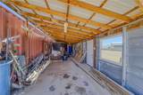 3890 Calle Lucero - Photo 61