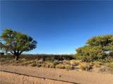 7084 Concho Drive - Photo 1