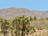 26681 Yucca Road - Photo 1