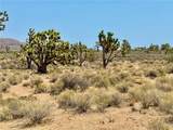 26681 Yucca Road - Photo 10