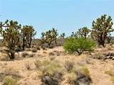 26681 Yucca Road - Photo 13