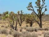 26681 Yucca Road - Photo 14