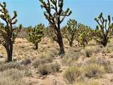 26681 Yucca Road - Photo 15