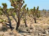 26681 Yucca Road - Photo 16