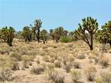 26681 Yucca Road - Photo 17