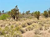 26681 Yucca Road - Photo 18