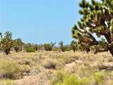 26681 Yucca Road - Photo 19