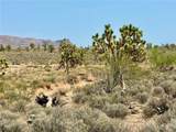 26681 Yucca Road - Photo 2