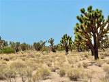 26681 Yucca Road - Photo 20