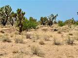 26681 Yucca Road - Photo 21