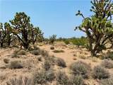 26681 Yucca Road - Photo 22
