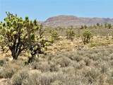26681 Yucca Road - Photo 24