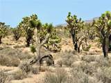 26681 Yucca Road - Photo 25