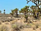 26681 Yucca Road - Photo 7