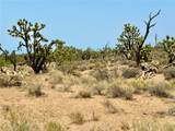 26681 Yucca Road - Photo 9